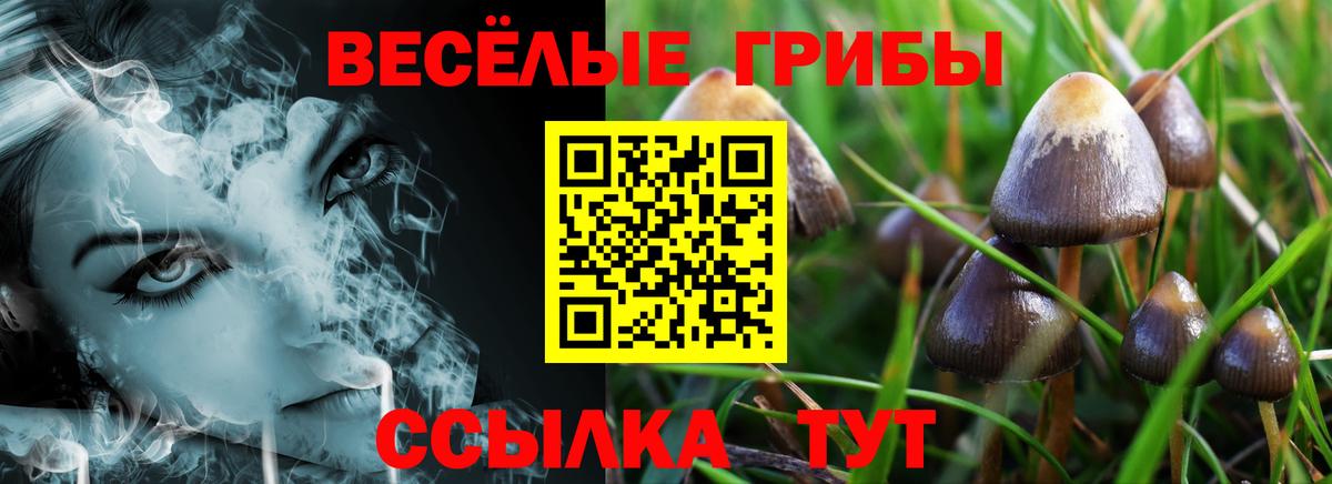 Галлюциногенные грибы MAGIC MUSHROOMS Избербаш
